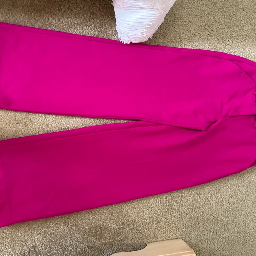 Express Magenta Wide Leg Pants